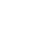 N1 Company